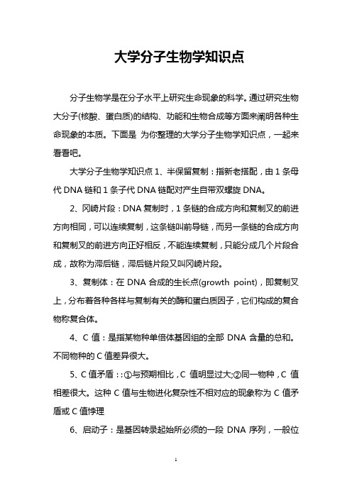 大学分子生物学知识点