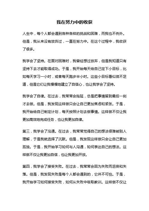 我在努力中的收获