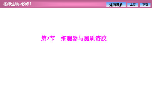 2019-2020学年北师大版高中生物必修1课件：第3章  第2节 细胞器与胞质溶胶