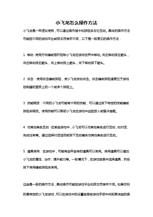 小飞龙怎么操作方法