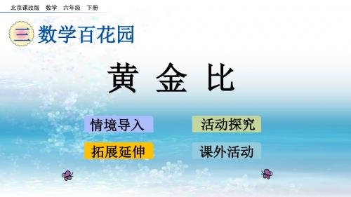 3北京课改版六年级下册.1 黄金比