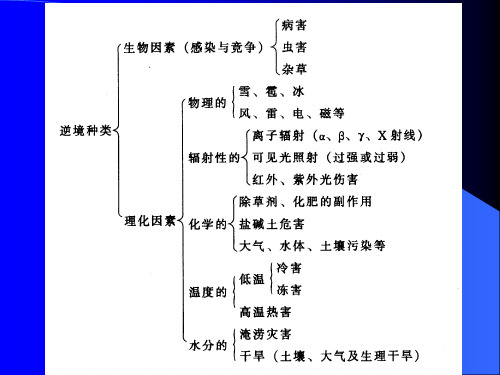 植物的抗性生理