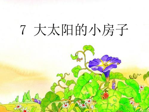 《大太阳的小房子》优选公开课件