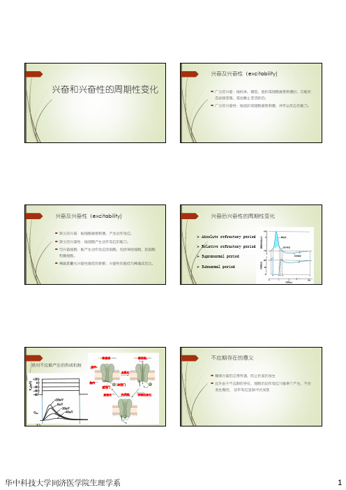 2.7 兴奋性的周期性变化