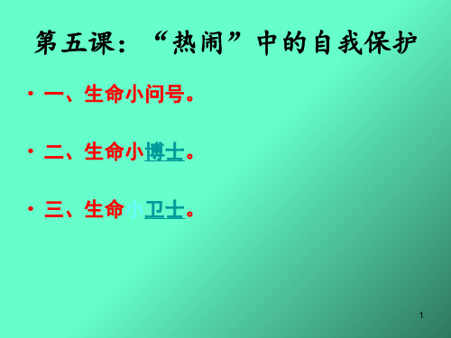 “热闹”中的自我保护PPT演示文稿