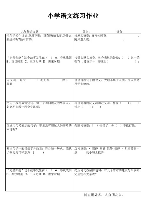 小学语文练习作业31