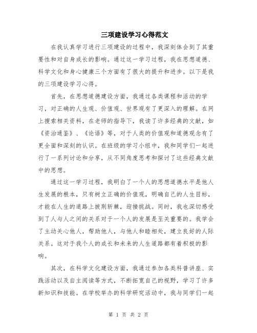 三项建设学习心得范文