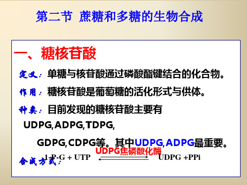 糖的生物合成-2