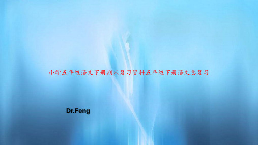 小学五年级语文下册期末复习资料五年级下册语文总复习PPT教案