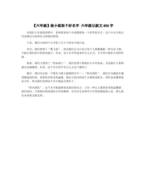 【六年级】给小组取个好名字 六年级记叙文600字