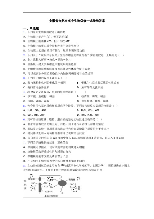 安徽省合肥市高中生物必修一试卷和答案