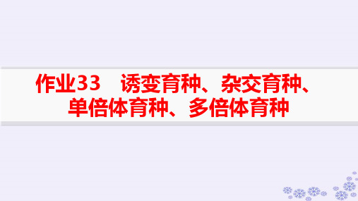 新高考新教材浙江专版生物一轮总复习作业33诱变育种杂交育种单倍体育种多倍体育种pptx课件浙科版