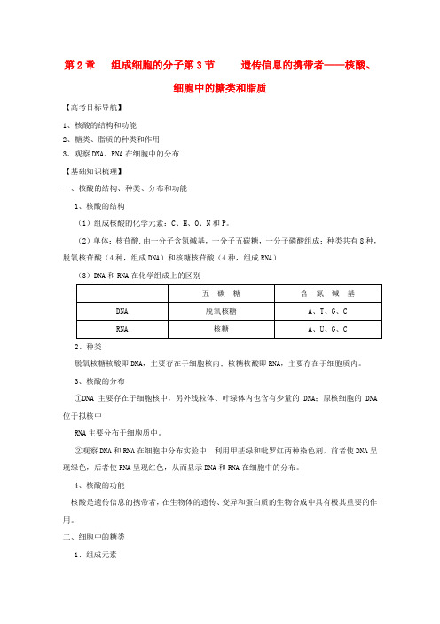 高三生物一轮复习 2.3 遗传信息的携带者——核酸、细胞中的糖类和脂质精品学案 新人教版必修1