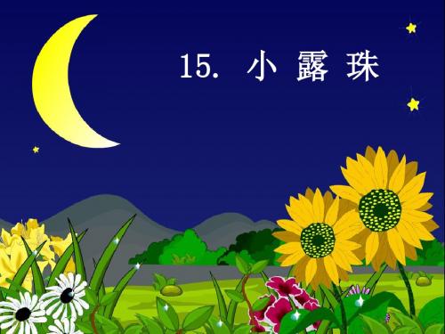 15《小露珠》课件ppt