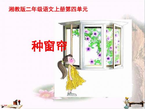 二年级语文上册 第四单元 种窗帘课件1 湘教版