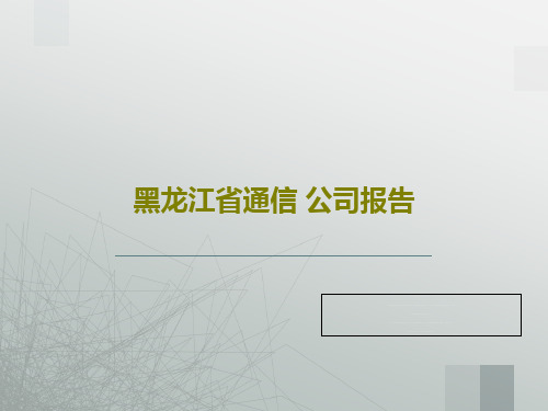 黑龙江省通信 公司报告共66页