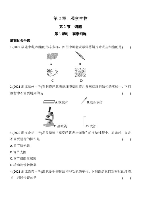 2024版初中科学(浙教版)七年级上册课时练 03-第3课时 观察细胞