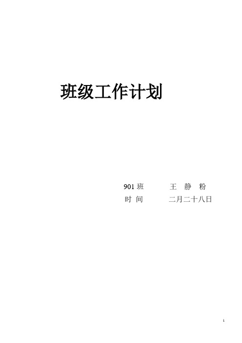 901班班主任工作计划