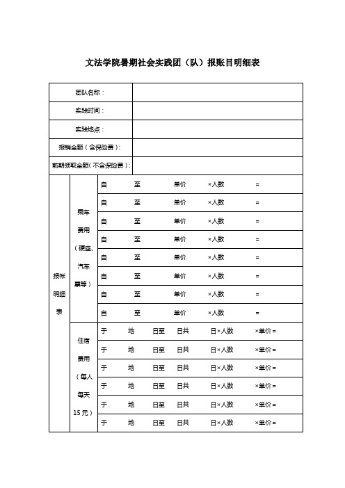 暑期社会实践团(队)报账目明细表