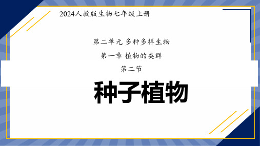 生物人教版2024版七年级上册2.1.2 种子植物 课件02