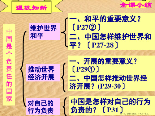 九年级政治 第二课《中国的声音》课件 人民版