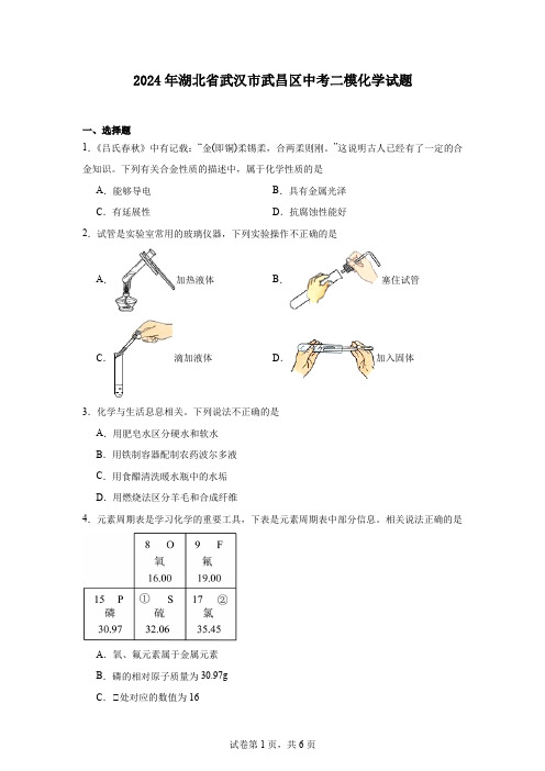 2024年湖北省武汉市武昌区中考二模化学试题