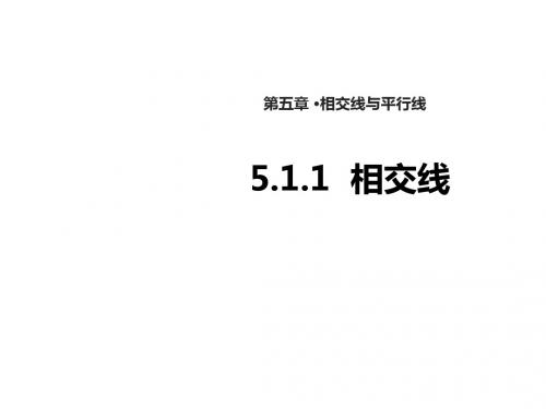 人教版七年级下册数学5.1.1相交线课件(19张PPT)