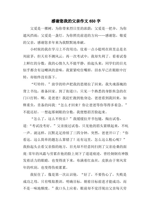 感谢您我的父亲作文650字