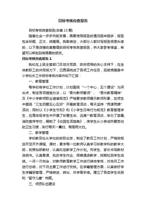 目标考核自查报告