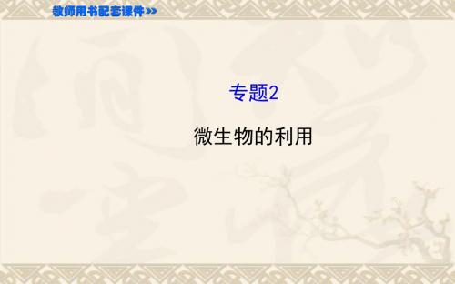 【全程复习策略】高考生物一轮总复习 专题2 微生物的利用配套课件 新人教版选修1