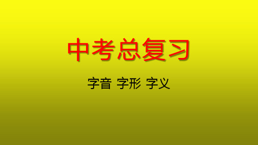 部编版2021年中考语文总复习课件——字音、字形、字义(共22张ppt)