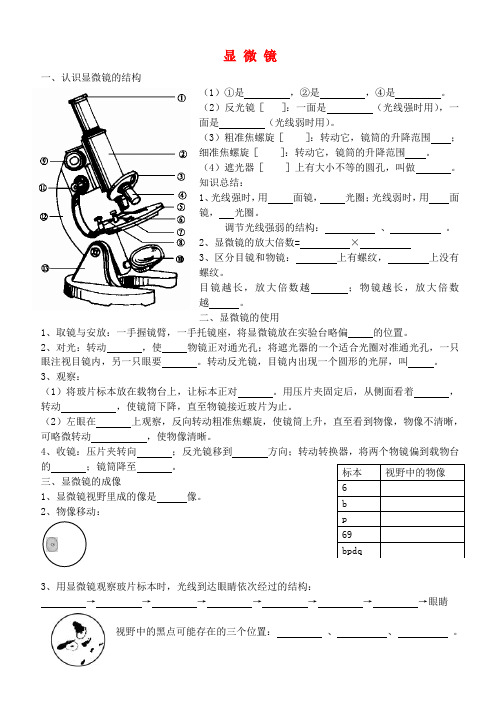 中考生物专题复习-显微镜