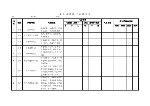 某公司风险评估调查表