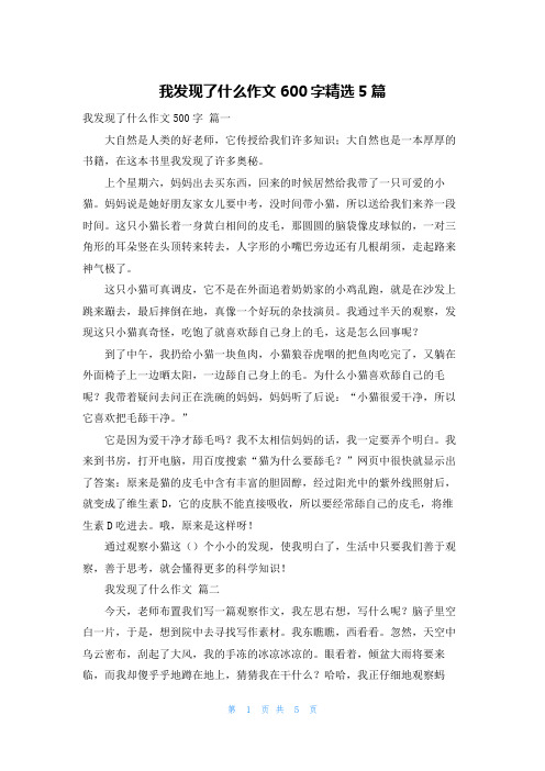 我发现了什么作文600字精选5篇