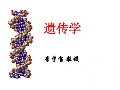 Genetics 8 病毒遗传分析