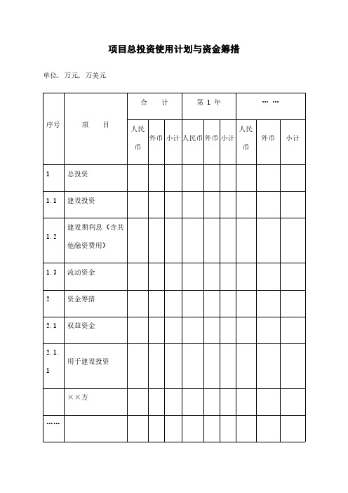 项目总投资使用计划与资金筹措模板