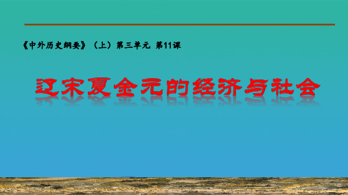 人教版(2019)必修中外历史纲要上第11课   辽宋夏金元的经济与社会 (共23张PPT)