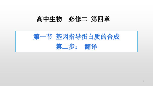 基因指导蛋白质的合成——翻译的过程 高中生物必修二教学课件PPT 人教版