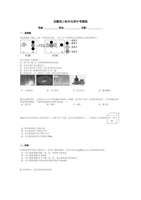 安徽初三初中化学中考模拟带答案解析
