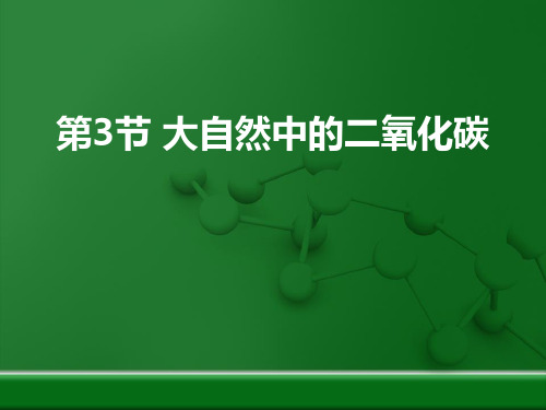 鲁教版九年级化学上册《大自然中的二氧化碳》燃烧与燃料PPT