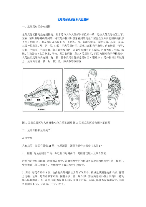 实用足部反射区和穴位图解