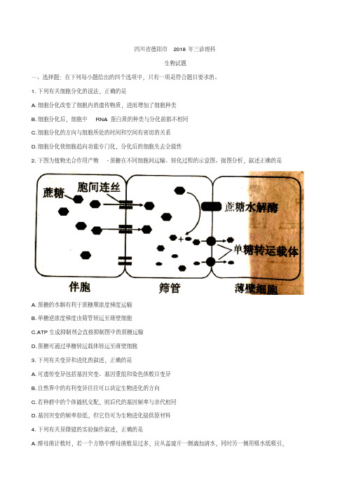 【全国市级联考word】四川省德阳市2018年三诊理科生物试题