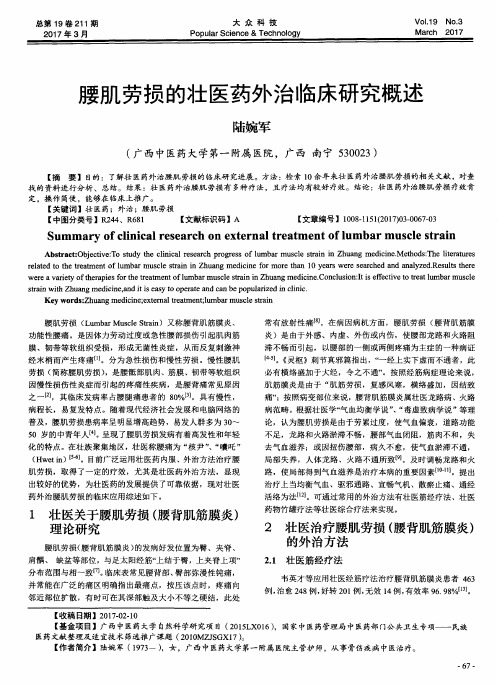 腰肌劳损的壮医药外治临床研究概述