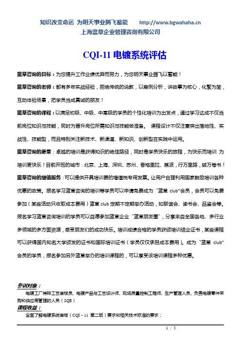 CQI-11电镀系统评估