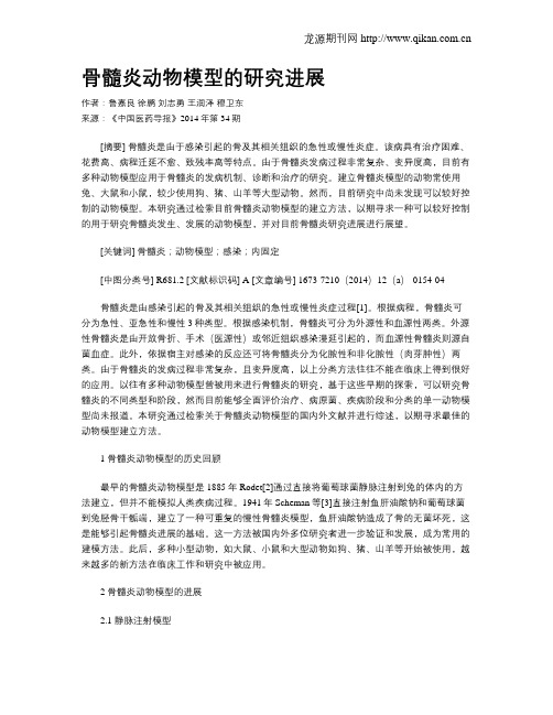 骨髓炎动物模型的研究进展
