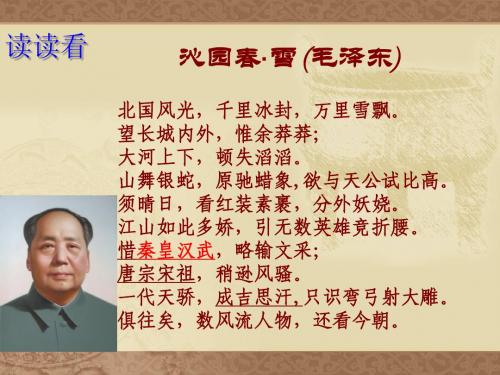 第15课 汉武帝推进大一统格局 实效课件(北师版七年级上 )