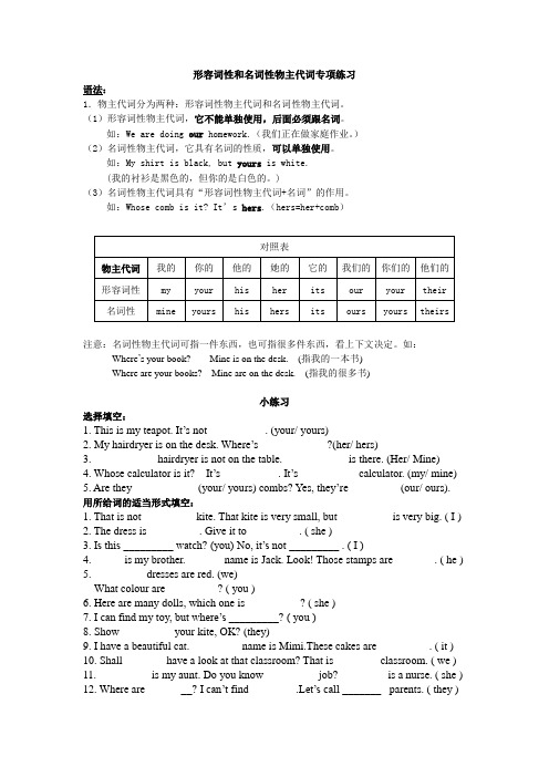 (完整版)形容词性与名词性物主代词专项练习