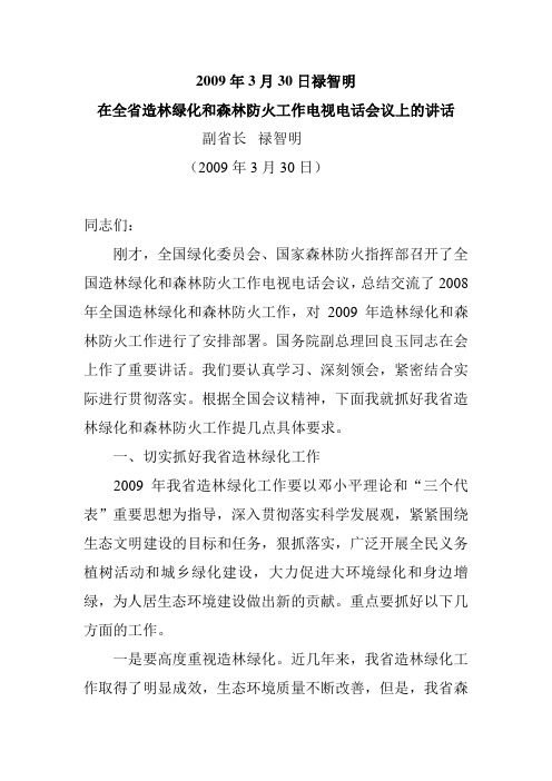 2009年禄智明讲话