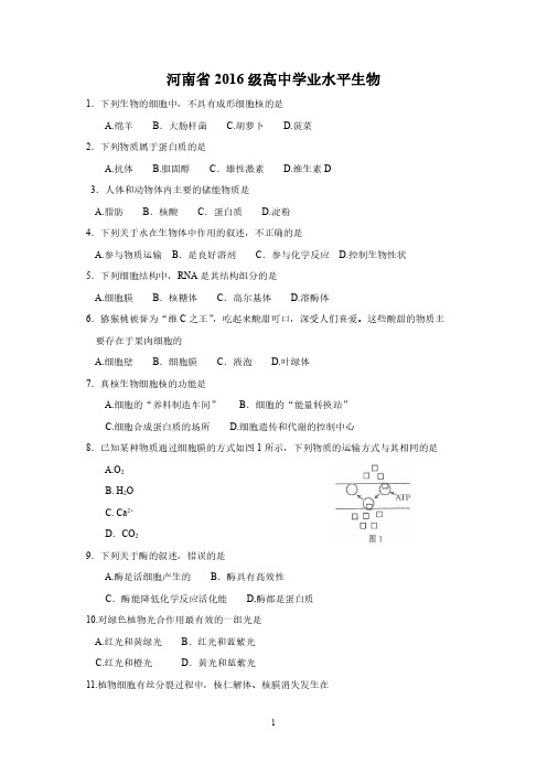 河南2016级高中学业水平考试生物试题及答案