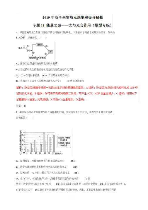 2019年高考生物热点题型和提分秘籍专题11能量之源光与光合作用(题型专练)含解析